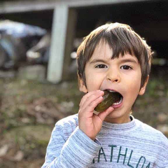 chilc eating pickle in the woods