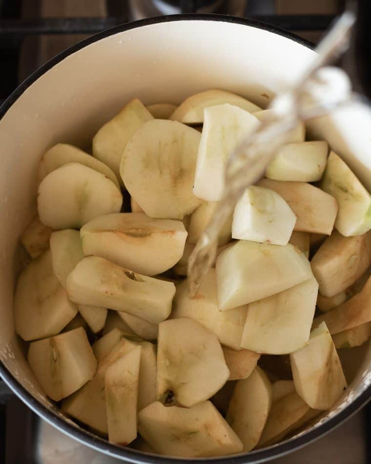 High Protein SugarFree AppleSauce Recipe AtMyTable