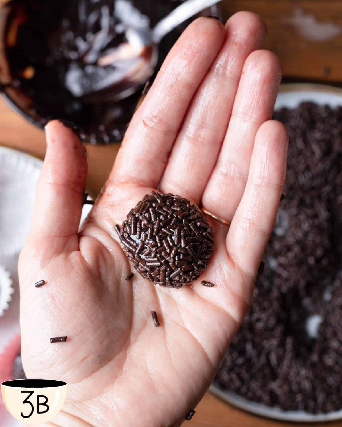 A human hand with a chocolate truffle in the center that has been rolled in chocolate sprinkles.