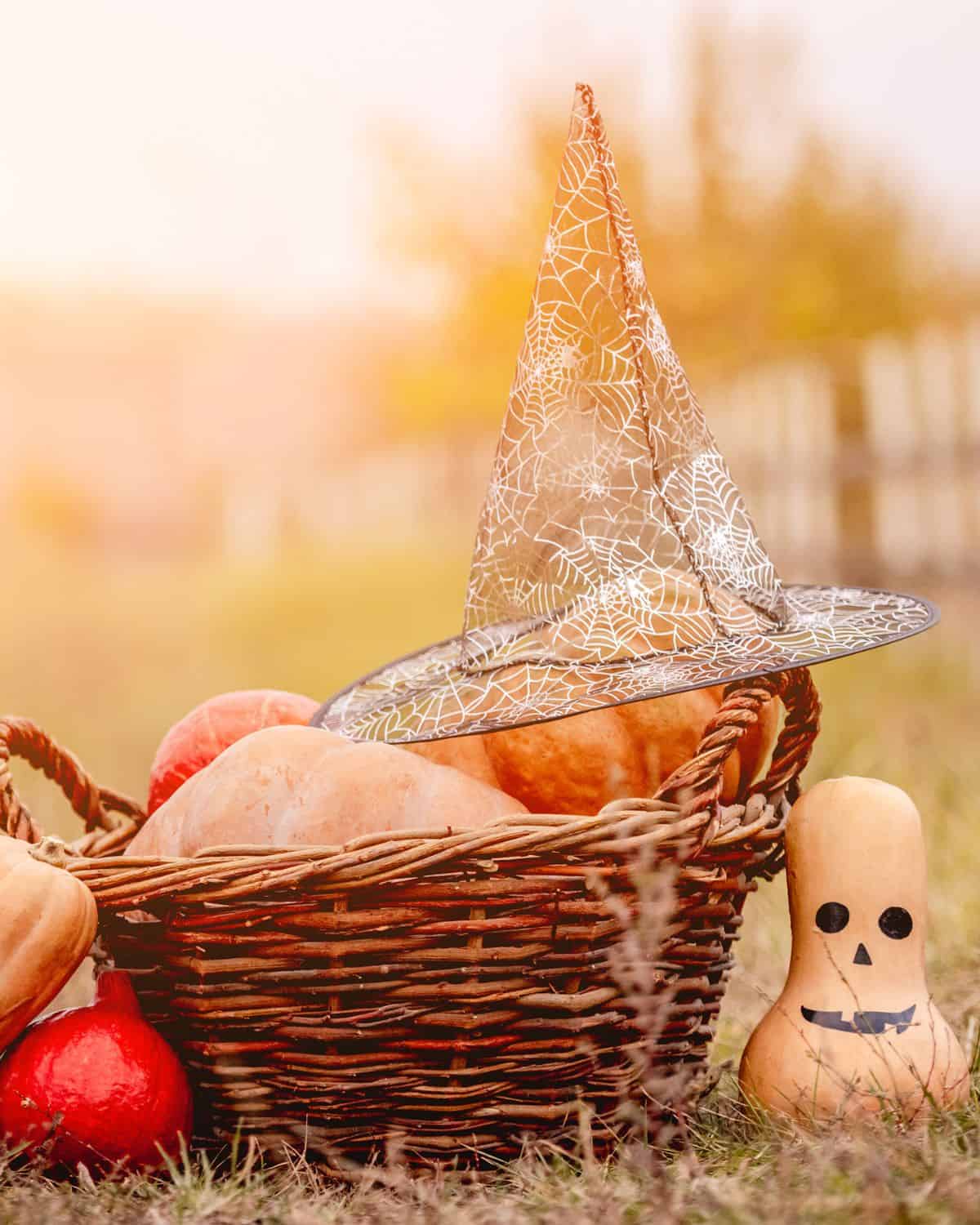 Image of a basket of halloween pumpkins and squash with a witches hat on top. The squash has a face drawn onto it and the witches hat is see though lace.