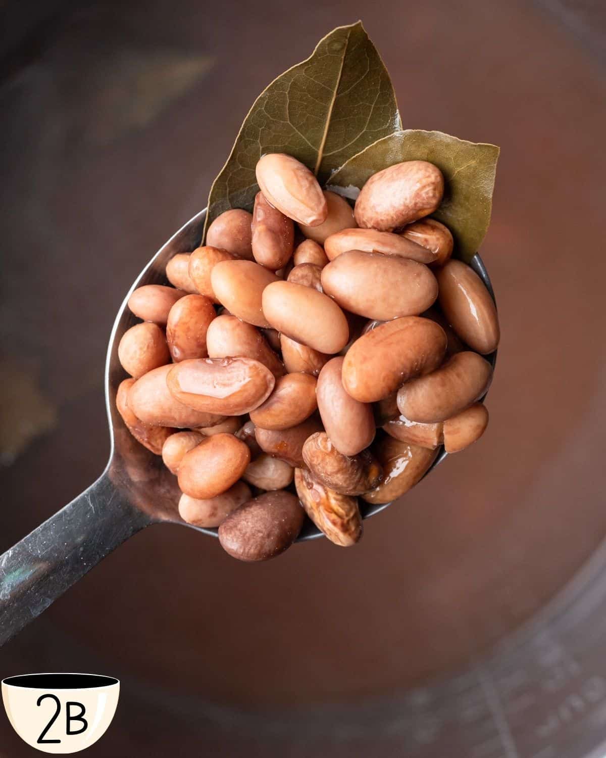 A metal ladle holding cooked pinto beans with a bay leaf, showing the smooth, shiny texture and brown color of the beans.