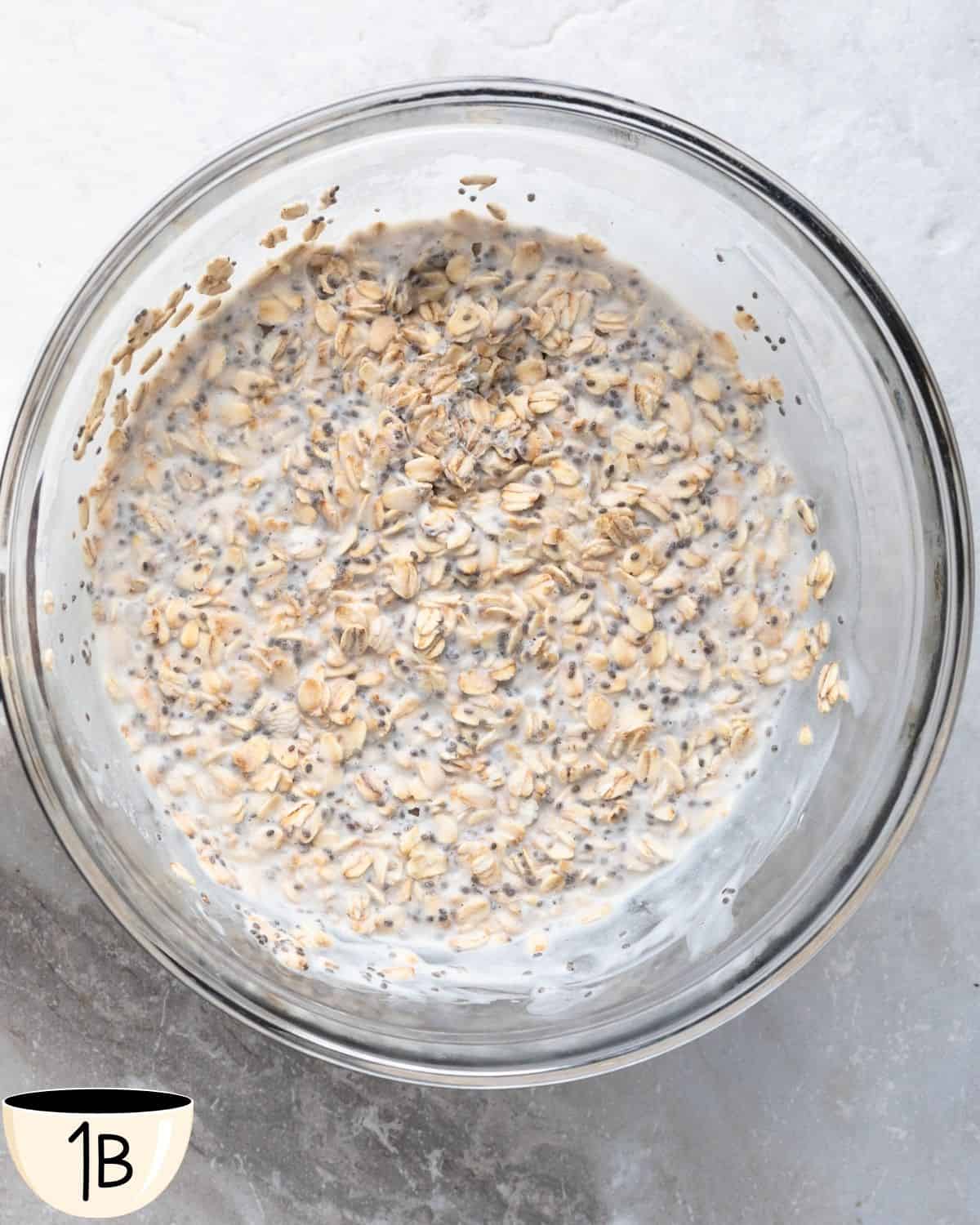 A glass bowl full of overnight oats that have set overnight in the fridge.
