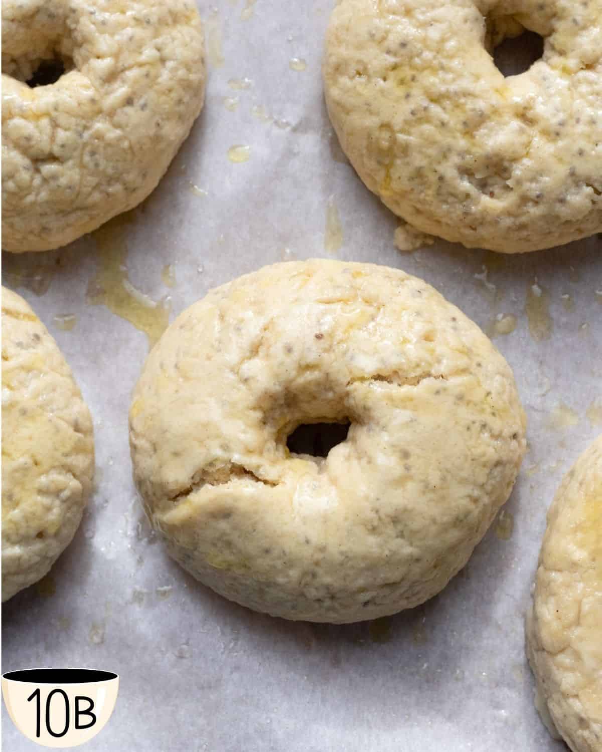 Gluten-free vegan bagels on parchment paper, post-boil, before being baked.